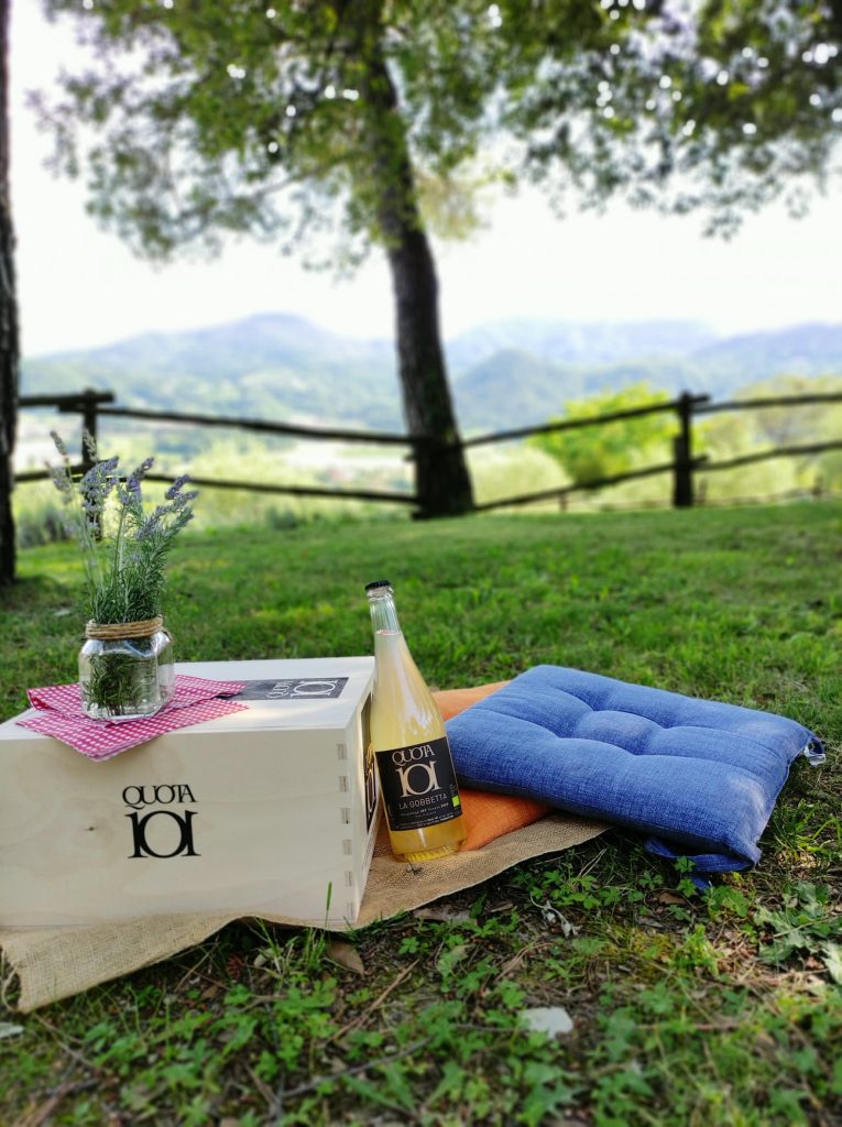 visita cantina colli euganei